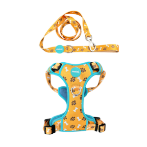 KIT Adventure - GUAU