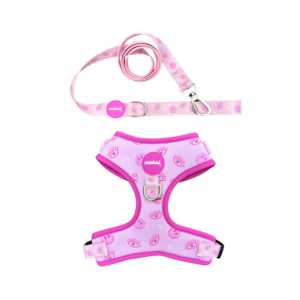 KIT Ajustable - EYE PINK